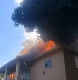 SHEEMA POLICE RESCUE WOMAN IN HOUSE FIRE