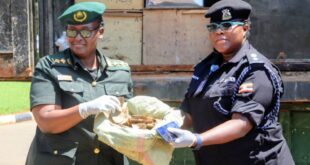 Trafficking: UWA Receives 8.8 Tonnes Of Seized Wildlife Products Held At Entebbe Since 2011