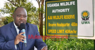 UWA Recovers Shs156 Billion as Financial Performance Improves – mulengeranewscom