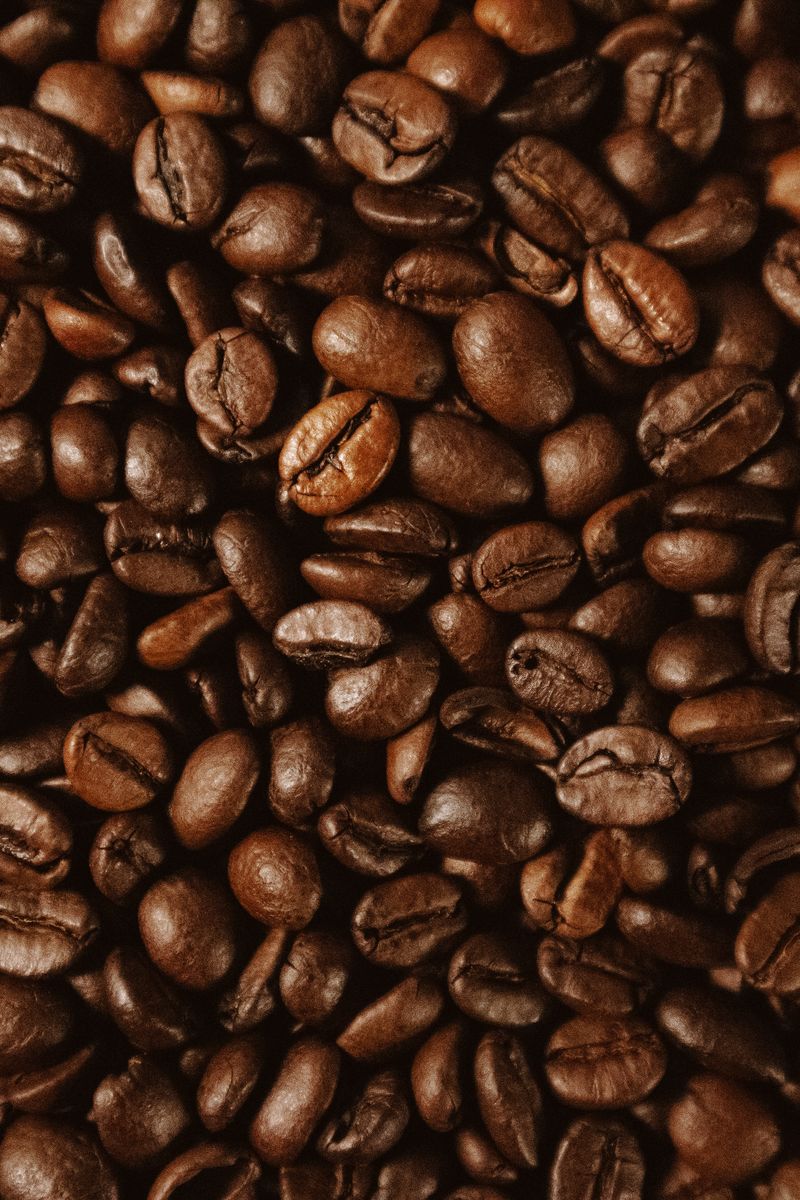 Uganda Set to Showcase Coffee Excellence at World of Coffee Brussels 2026  