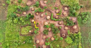 Adjumani Emerges Top Performer in IFPA CD Woodlots Programme Boosting Forest
