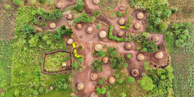Adjumani Emerges Top Performer in IFPA CD Woodlots Programme Boosting Forest