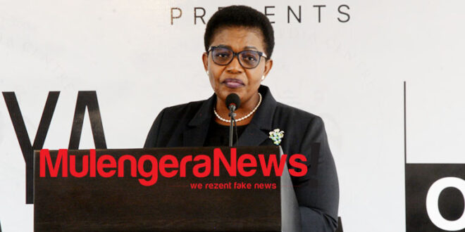 Cabinet Moves to Overhaul Government Vehicle Management as Heat Wave