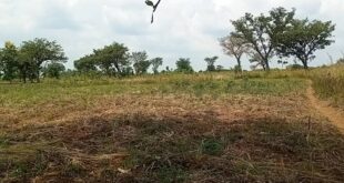 Nebbi MP pushes for municipal health centres as council seeks to expand access to care