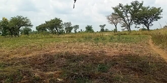 Nebbi MP pushes for municipal health centres as council seeks to expand access to care